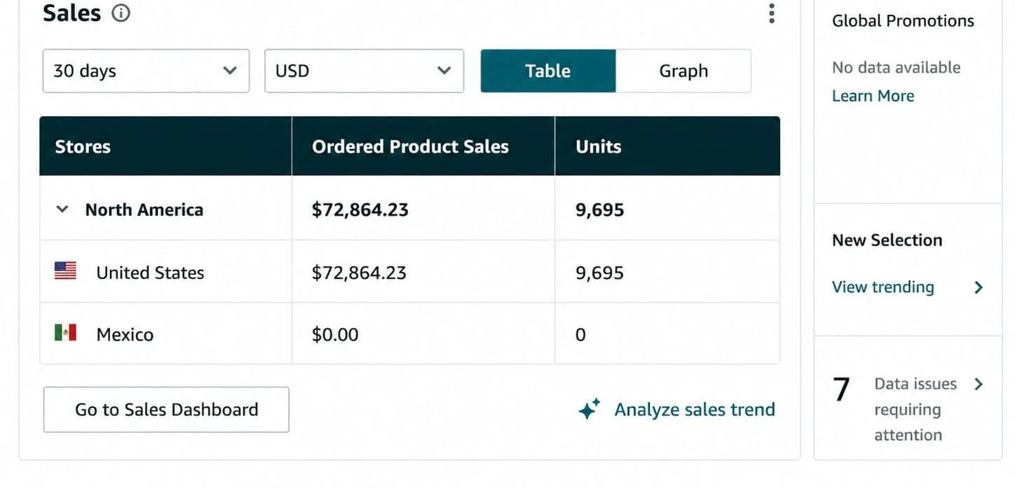 Amazon Seller Central sales report